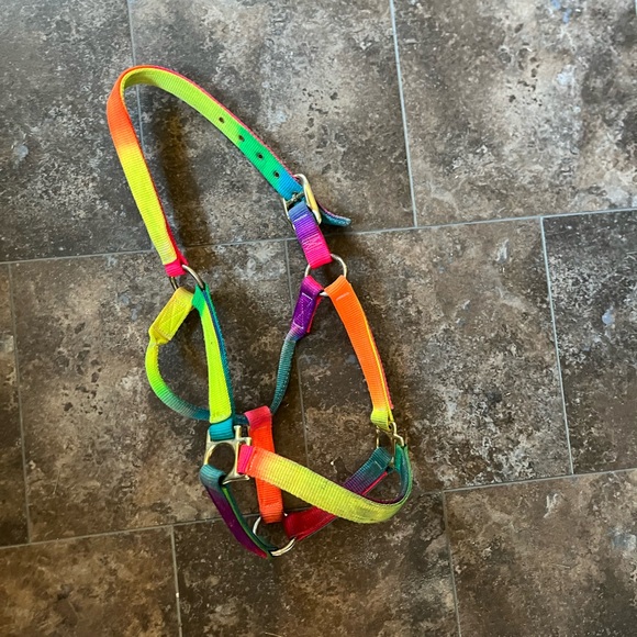 Other - Rainbow horse halter. Unicorn. Pride